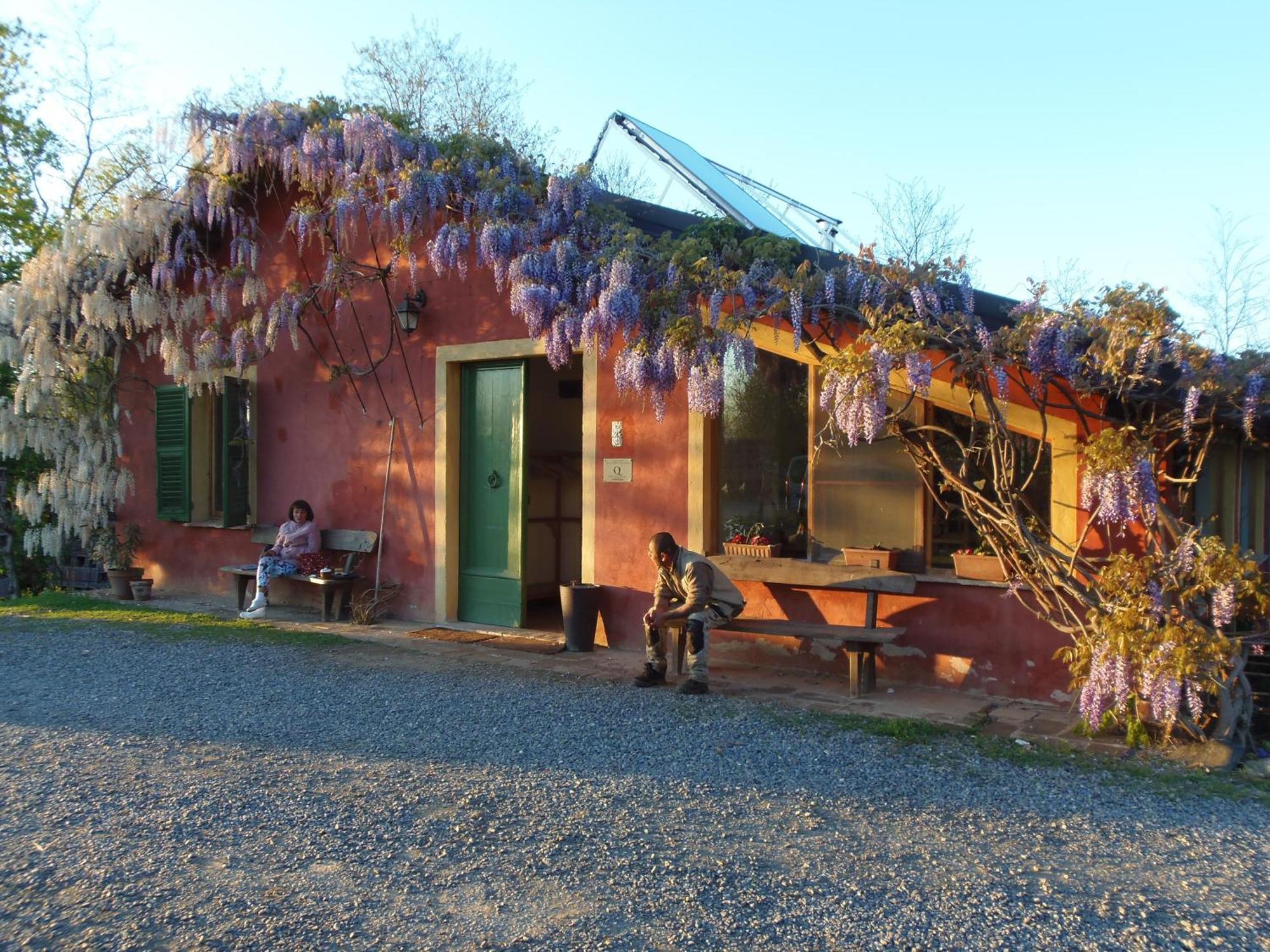 נובי ליגורה Agriturismo Cascina Degli Ulivi מראה חיצוני תמונה
