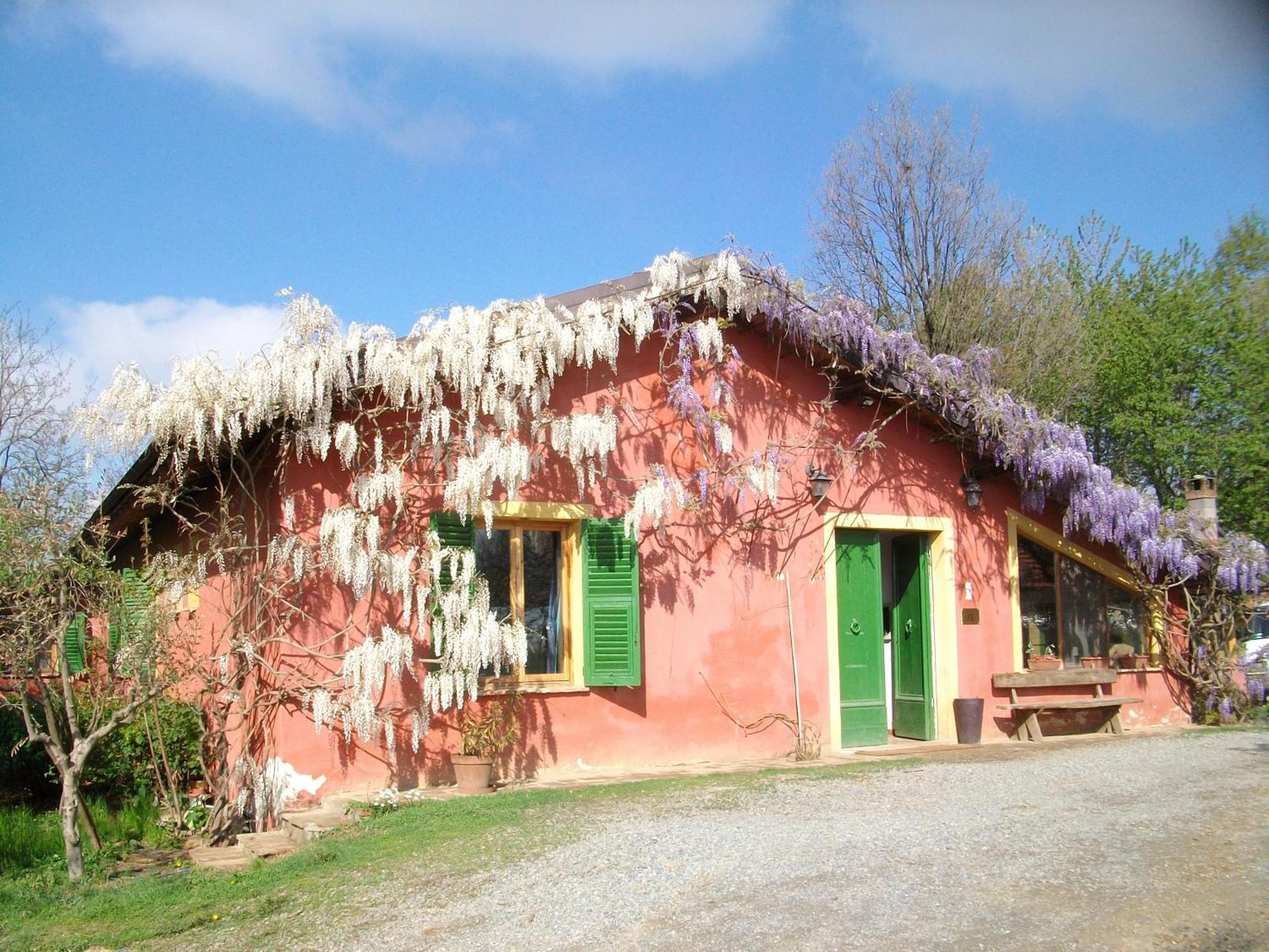 נובי ליגורה Agriturismo Cascina Degli Ulivi מראה חיצוני תמונה
