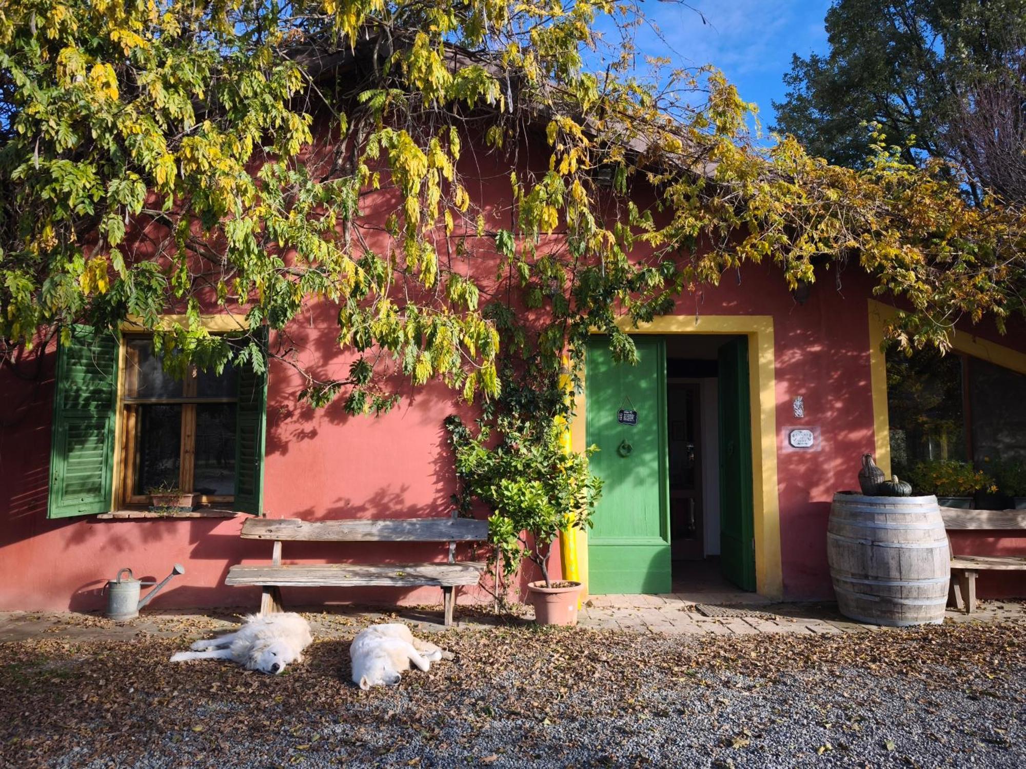 נובי ליגורה Agriturismo Cascina Degli Ulivi מראה חיצוני תמונה