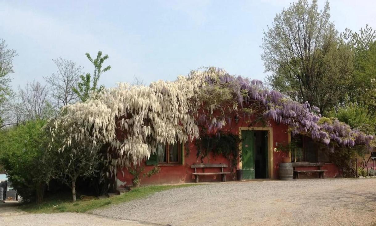 נובי ליגורה Agriturismo Cascina Degli Ulivi מראה חיצוני תמונה